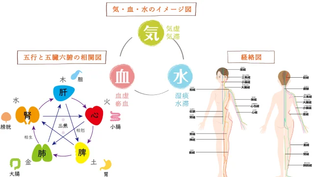 五臓六腑、気血水、経絡の説明図
